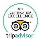 Trip Advisor